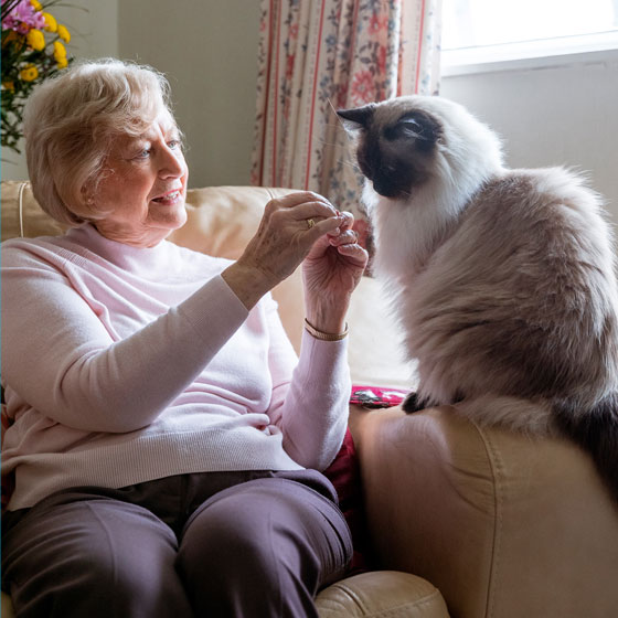 Elderly Woman with Cat