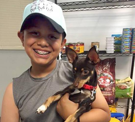 Pet Pantry