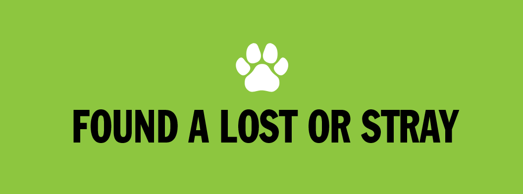 Found a Lost or Stray