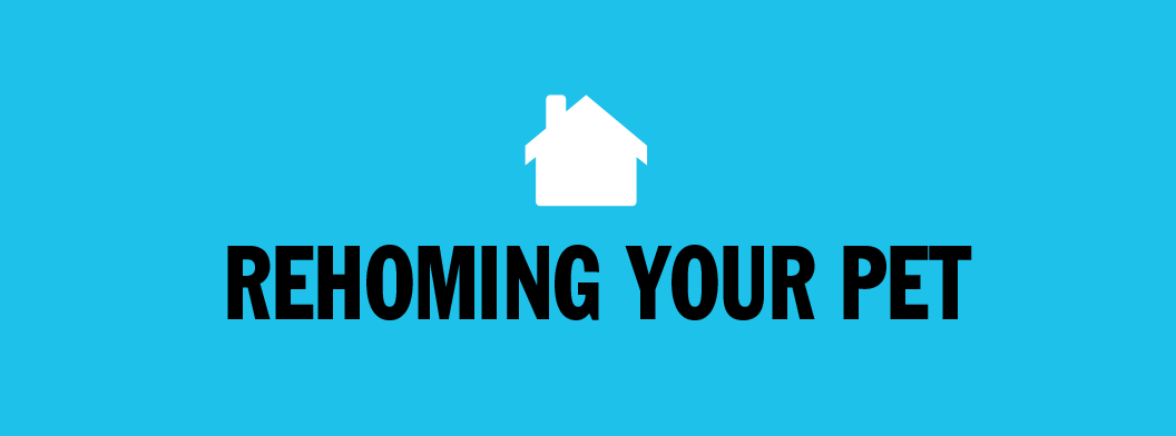 Rehoming Your Pet